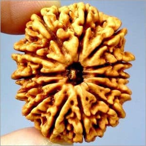 Read more about the article 13 मुखी रुद्राक्ष पहनने के फायदे | 13 Mukhi Rudraksha Benefits in Hindi