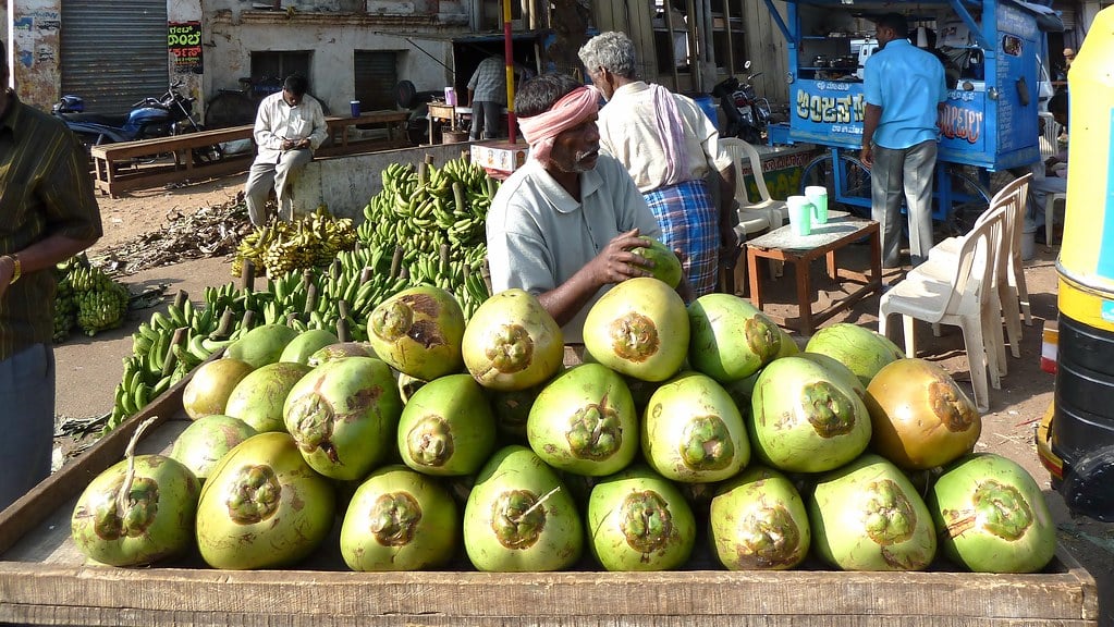 Coconut water business plan in hindi