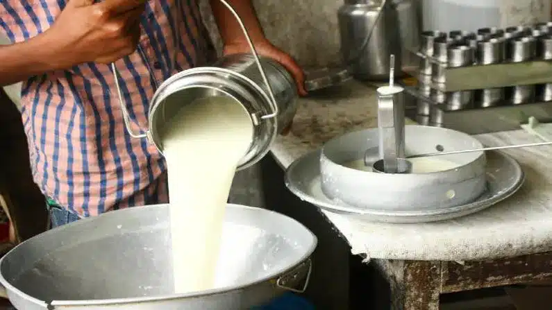 Dairy Milk Business Plan in Hindi