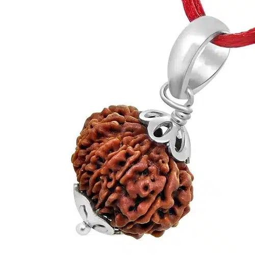 Read more about the article रुद्राक्ष पहनने के फायदे और नुकसान | All Rudraksha Benefits in Hindi