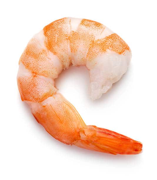 Shrimp (jhinga)