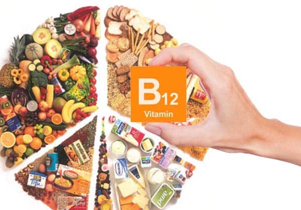 Vitamin B12 Foods in Hindi