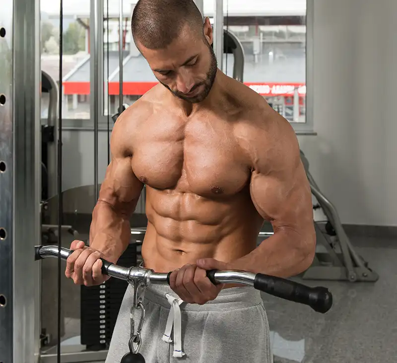 cable biceps curl