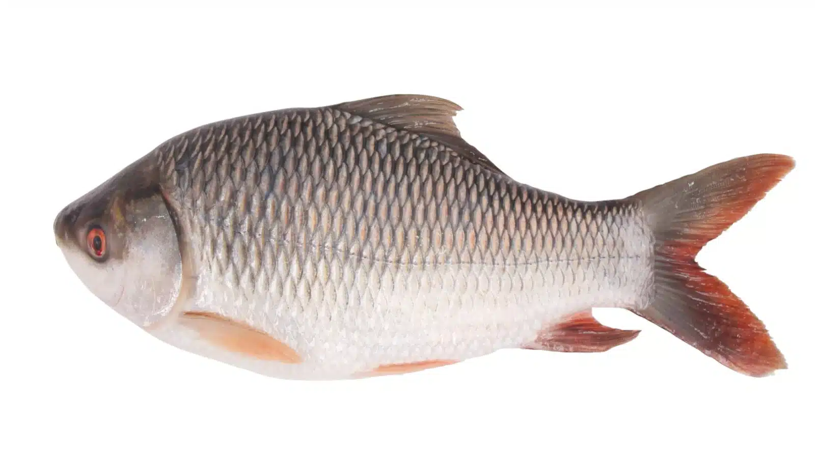 fish nutritional value
