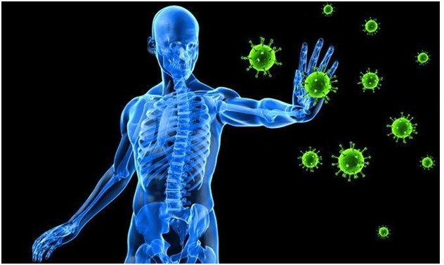 immunity badhane ke gharelu tips