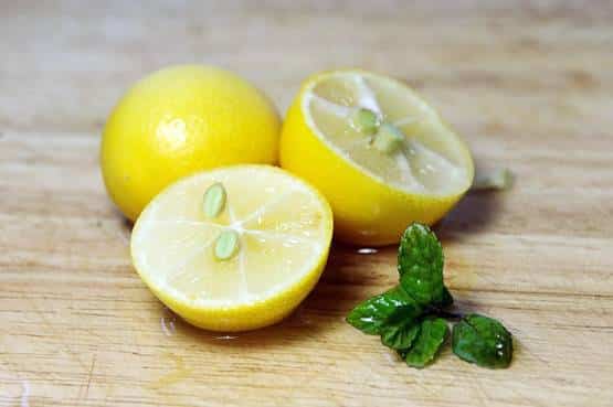 lemon farming in hindi
