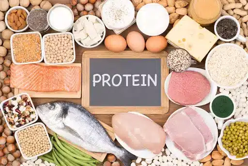 protein kaise bante hai