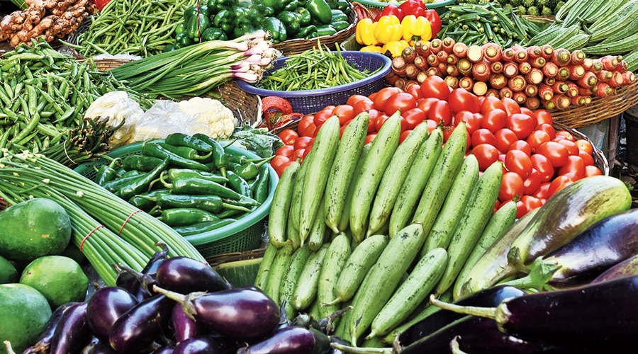 vegetable business plan in hindi
