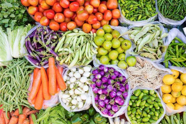 vegetables business ideas in hindi