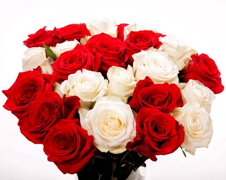 white-and-red-rose-bunch